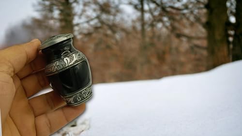 Small Cremation Urn in Green Black - Pet or Human Ashes Miniature Decorative Urn with Velvet Box