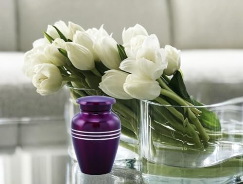 Serenity Keepsake Urn for Ashes - Miniature Urn with Velvet Bag