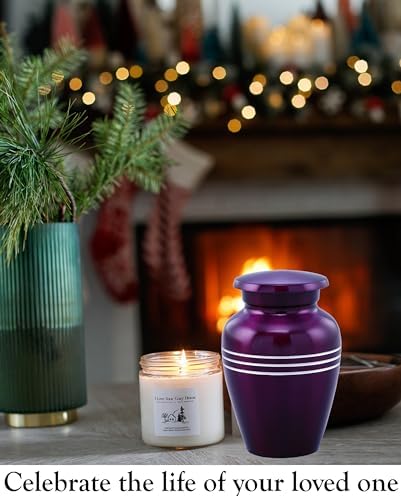 Serenity Keepsake Urn for Ashes - Miniature Urn with Velvet Bag