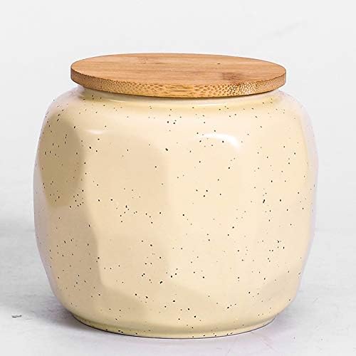 CATRP Keepsake Decorative Urn - Medium Size Ceramic Pet Memorial