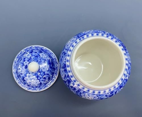 Decorative Ceramic Urn for Dog or Cat Ashes - Blue