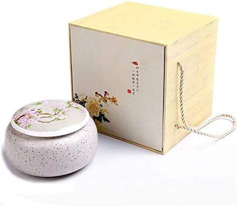 SCOOVY Classic Cremation Urns for Ashes Keepsake Urns