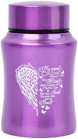 45 Inches Small Keepsake Urn - Heart Wing Memorial Container