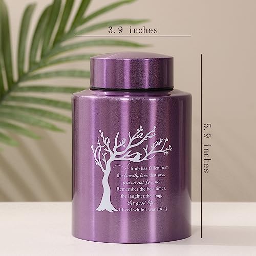 Medium Cremation Urn with 60 Cubic Inches Capacity