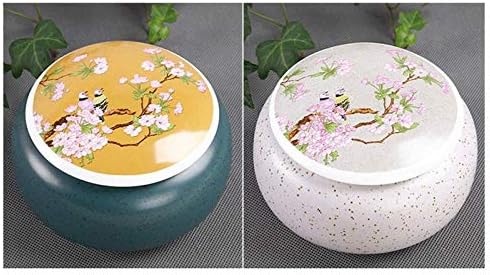 SCOOVY Classic Cremation Urns for Ashes Keepsake Urns