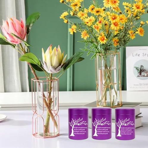 RIPFEVURN Mini Urns for Human Ashes Keepsake Set of 6 Purple